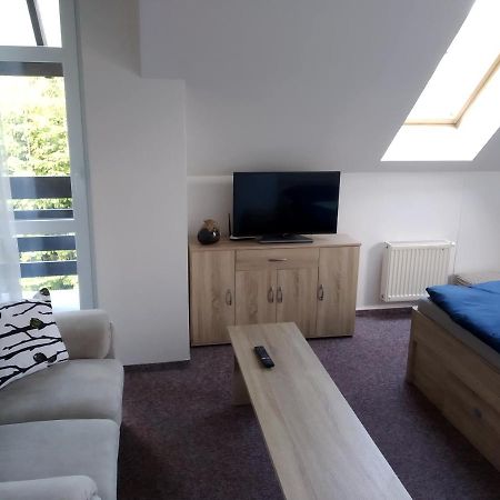 Apartman Violeta Harrachov Exterior foto