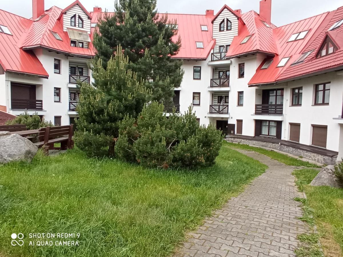 Apartman Violeta Harrachov Exterior foto